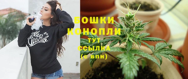 ALPHA-PVP Горнозаводск