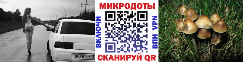 даркнет сайт  OMG вход  Галлюциногенные грибы MAGIC MUSHROOMS  Гвардейск 